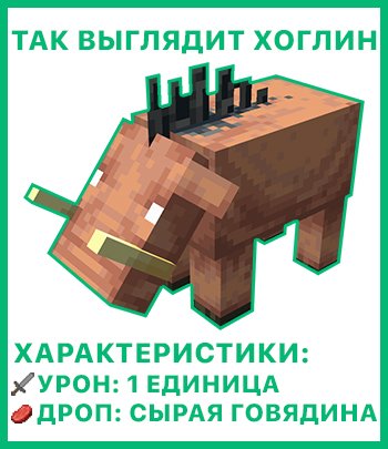 Хоглин характеристики