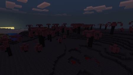 Биом, покрытый тьмой на закате