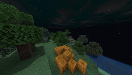 несколько тыкв