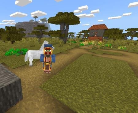 странствующий торговец на поле