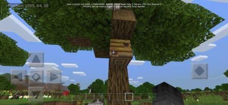 пчелиный улей