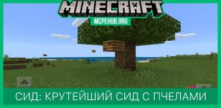 Сид: Крутейший сид с пчелами