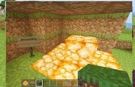 Представление блоков грибных огней