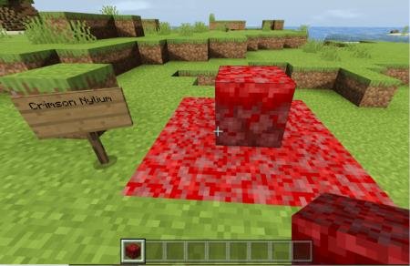 Представление блока тёмно-красного мицелия