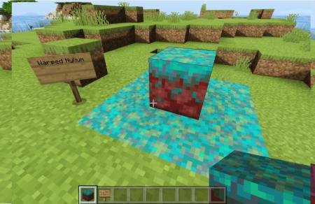 Представление блока голубого мицелия