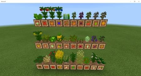 Представление множества семян и выраженного урожая