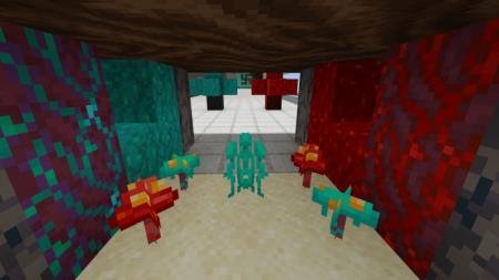 Представление голубых и розовых грибов