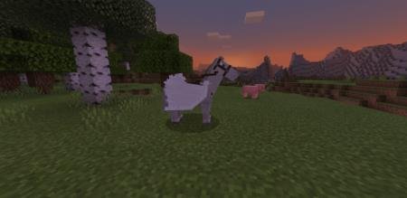 Пегас, с установленным на него седлом