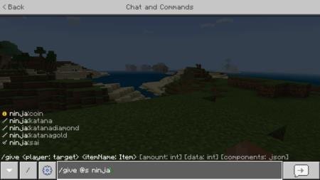 Ввод команд в меню игры для получения предметов из мода