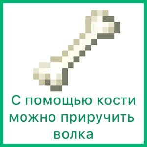 Кость и волк