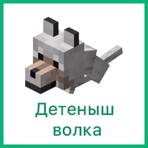 Детеныш волка