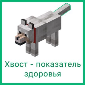 Хвост волка