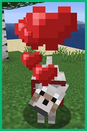 Разведение волка