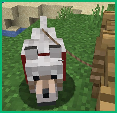 Волк на привязи