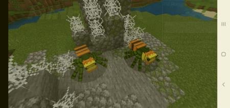 Альтароты на фоне скалы с паутиной