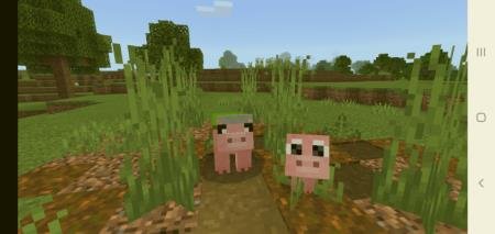 Поги и Моссвин