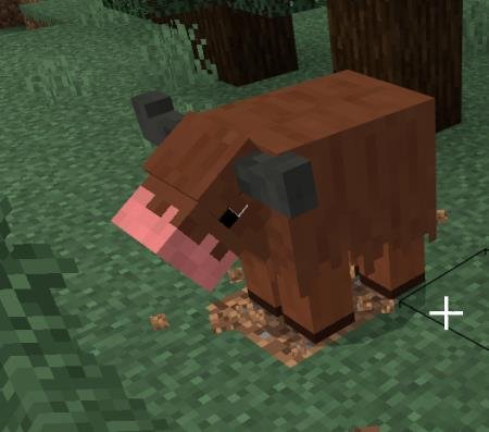 Новое животное - вол с коричневой шерстью