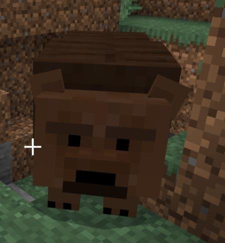 Медведь гризли