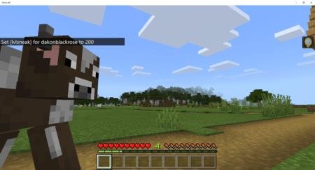 Игрок исчез, использовав навык приседания