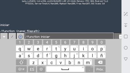Ввод одной из команд мода