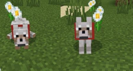 Анимация сидения волка