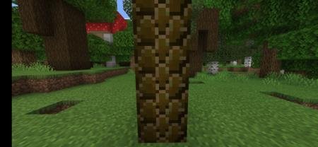 Новые пальмы