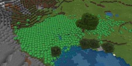 Множество черепах