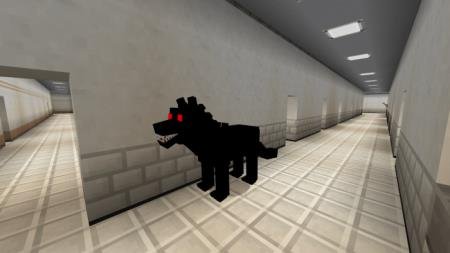 черная собака