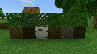 Листва деревьев