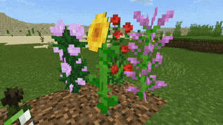 Высокие цветы