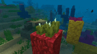 Морские огурцы