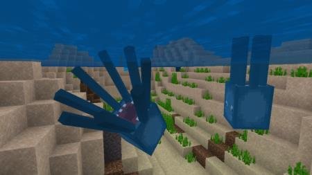 большие кальмары