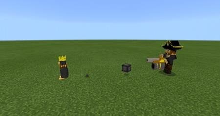 пират и пингвин