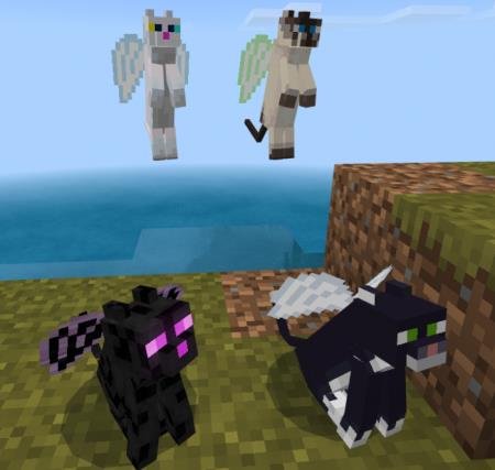 Черные и белые Коты-ангелы