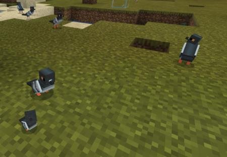 Небольшая семейка голубей