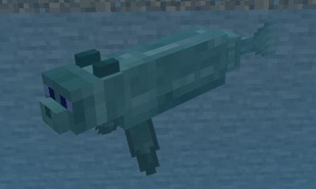 Морской зверёк