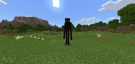 Пользовательский эндермен