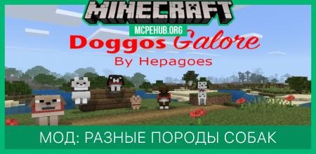 Мод: Разные породы собак