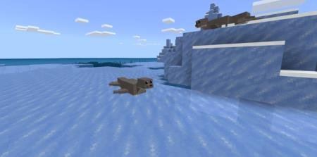 Тюлень в ледяном биоме