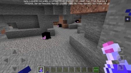 кроты в пещере