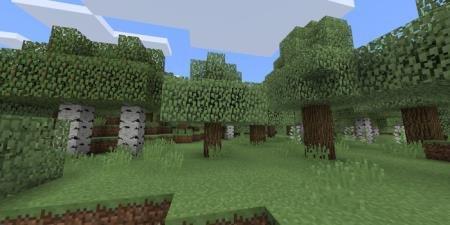 Лето с классическими зелёными текстурами травы и листьев