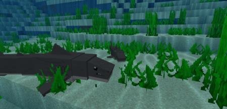 Белая акула и тигровая акула