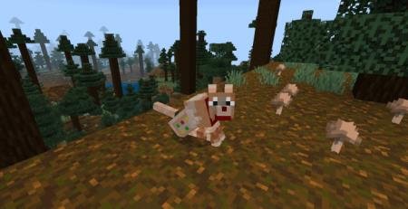 новые текстуры собаки