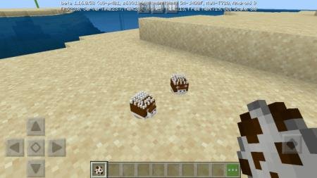 Парочка ежей в пустыне