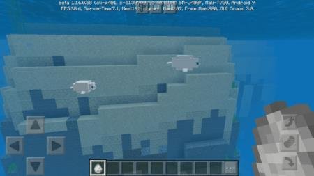 Парочка тюленей под водой