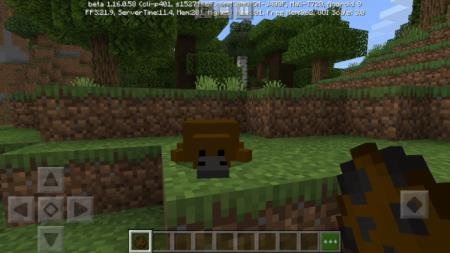 Утконос смотрит на игрока