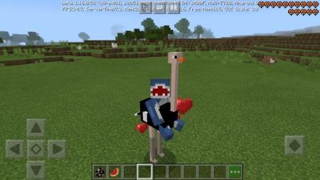 Красивый страус на равнине