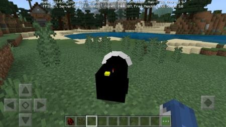 Чёрная птица с белым оперением на хвосту