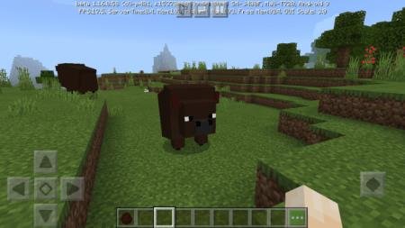 Парочка бизонов, пасущихся на равнине