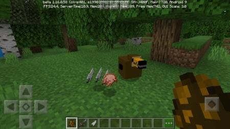 Новый вид птицы, добавленный в Майнкрафт